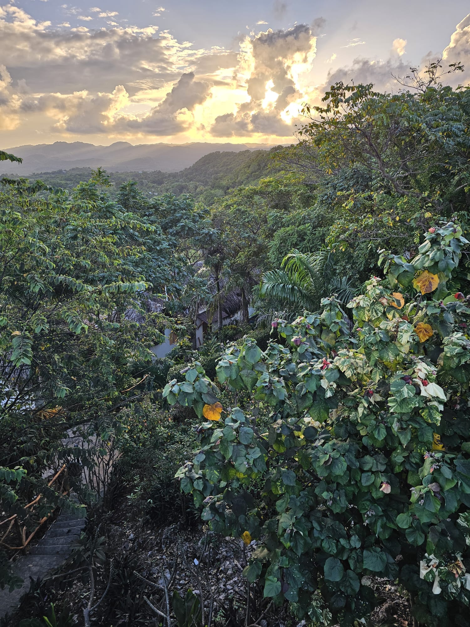 Jungle & Boat Trips